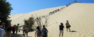 Image de la Dune du Pilat